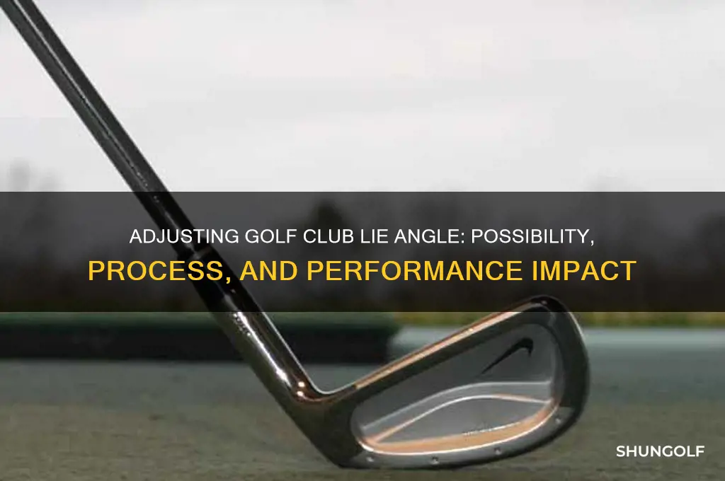 can the lie of a golf club be changed