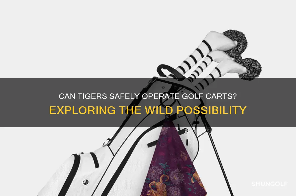 can tiger use a golf cart