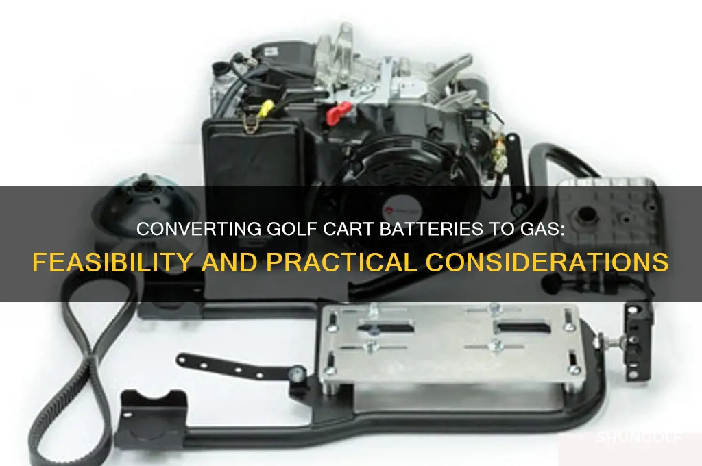 can u convert golf cart battery to gas