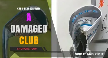 Playing Golf with a Damaged Club: Risks, Rules, and Alternatives