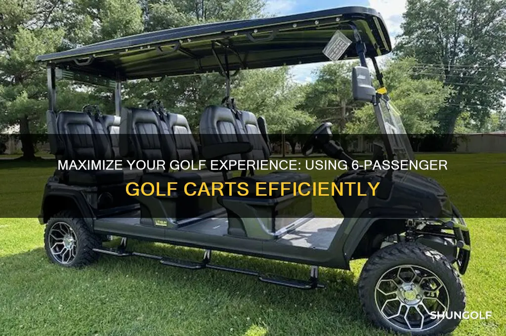 can use 6 place golf carts