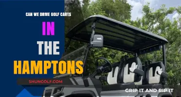 Exploring Hamptons Roads: Are Golf Carts a Legal Driving Option?