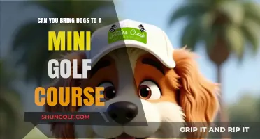 Putt with Your Pup: Are Dogs Allowed at Mini Golf?