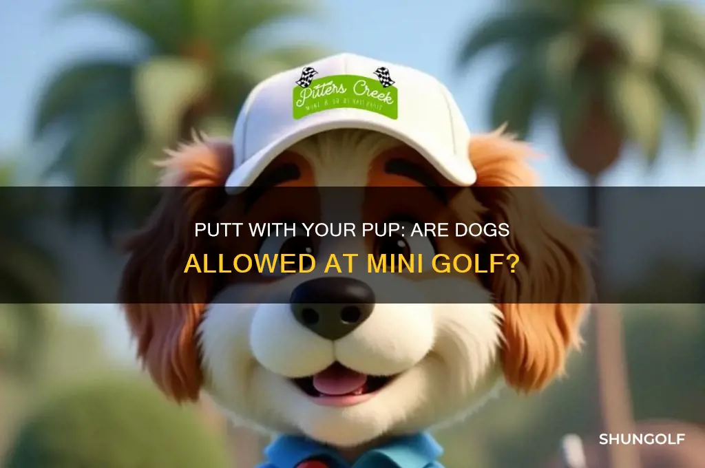 can you bring dogs to a mini golf course