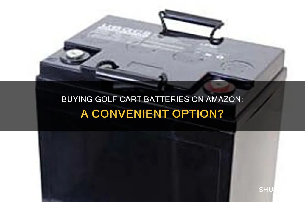 can you buy golf cart batteries through amazon