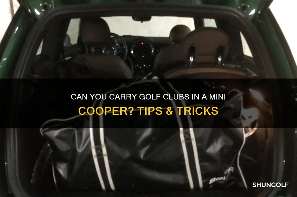 can you carry golf clubs in a mini