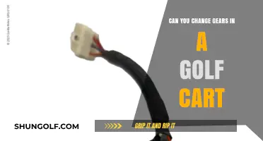 Changing Gears in Golf Carts: Is It Possible or Necessary?