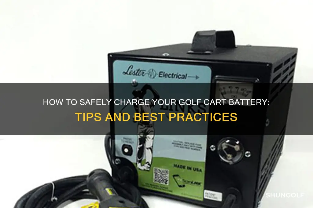 can you charge a golf cart battery