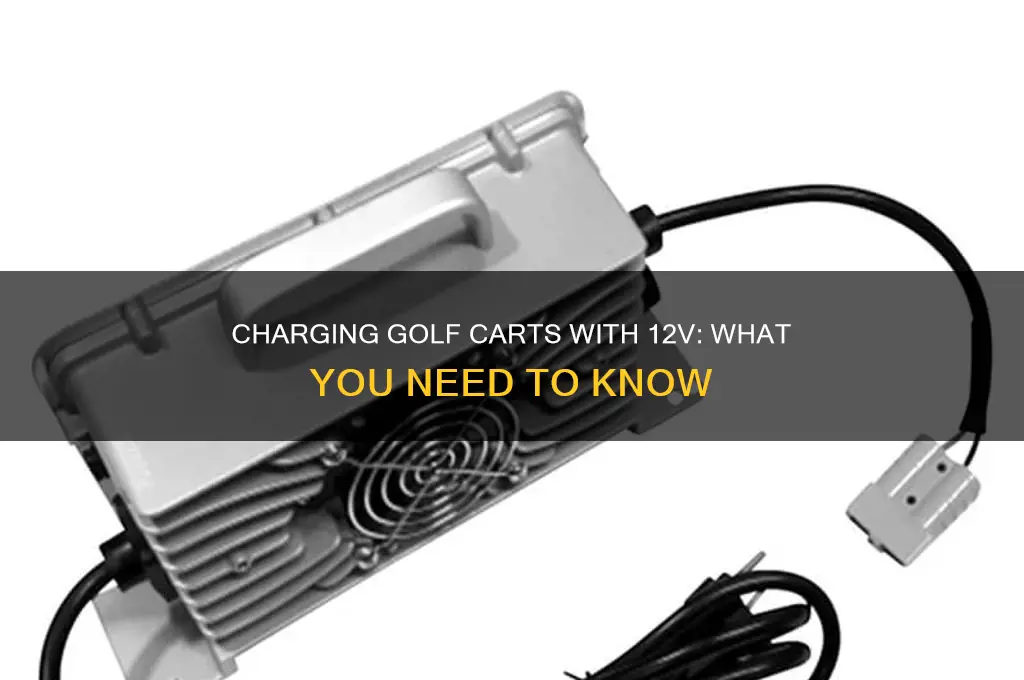 can you charge a golf cart with 12v