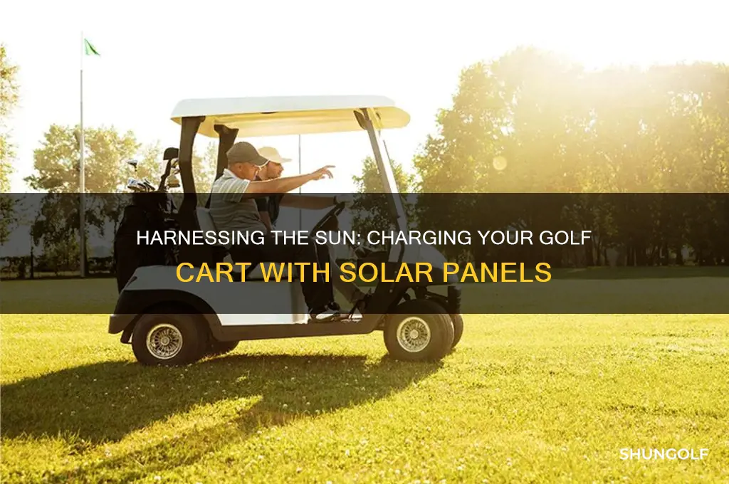 can you charge a golf cart with a solar panel