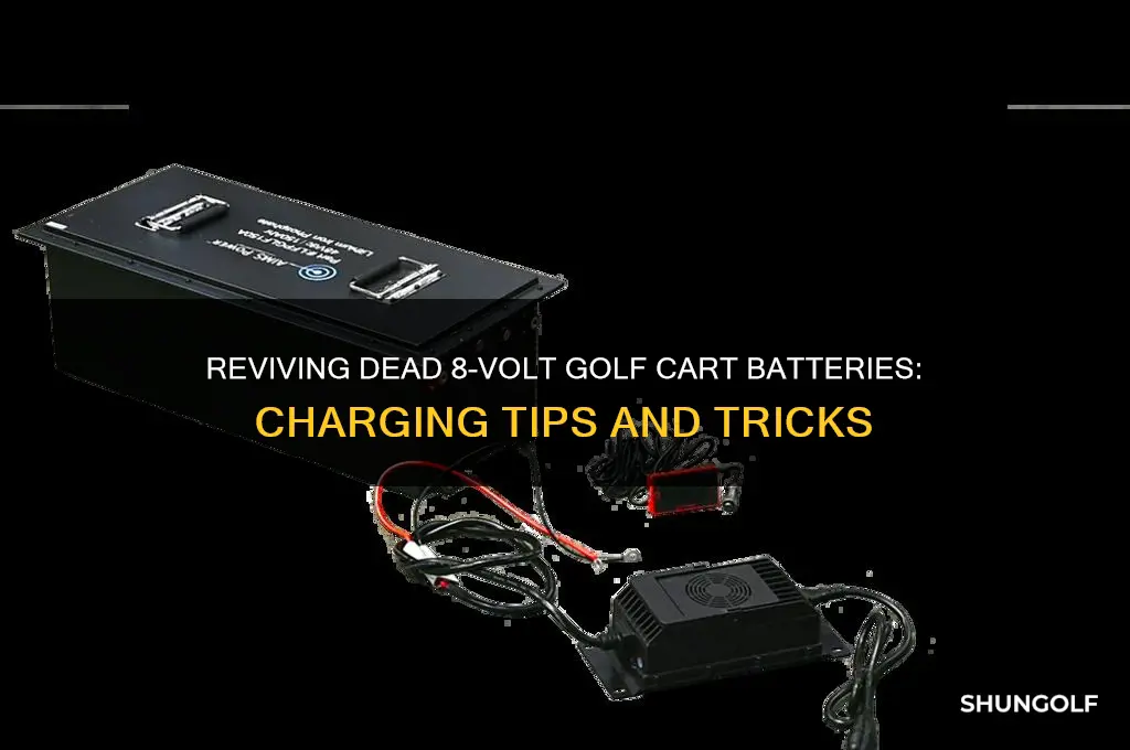 can you charge dead golf cart 8 volt batteries