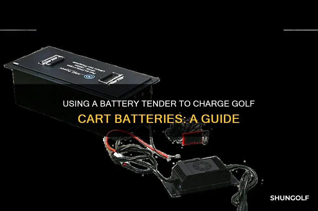 can you charge golf cart batteries with a battery tender