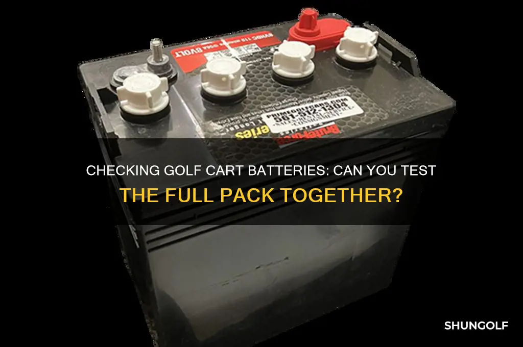 can you check full pack of golf cart batteries together