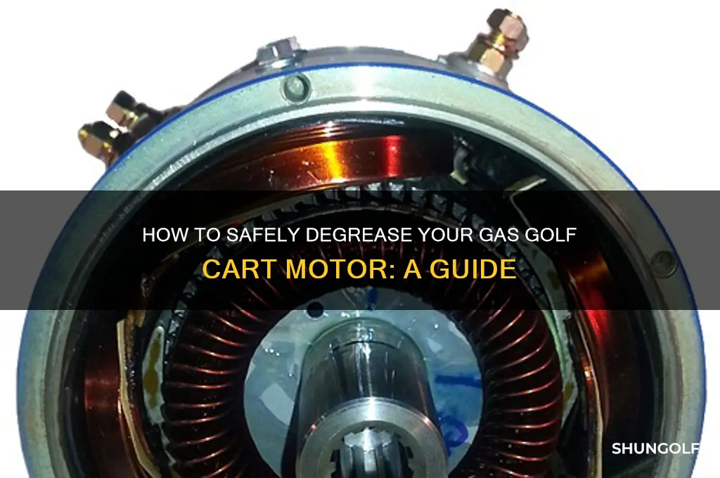 can you degrease a gas golf cart motor