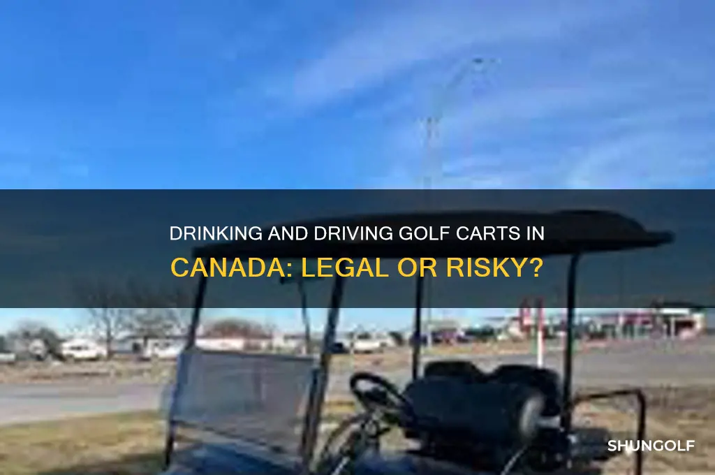 can you drink and drive a golf cart canada