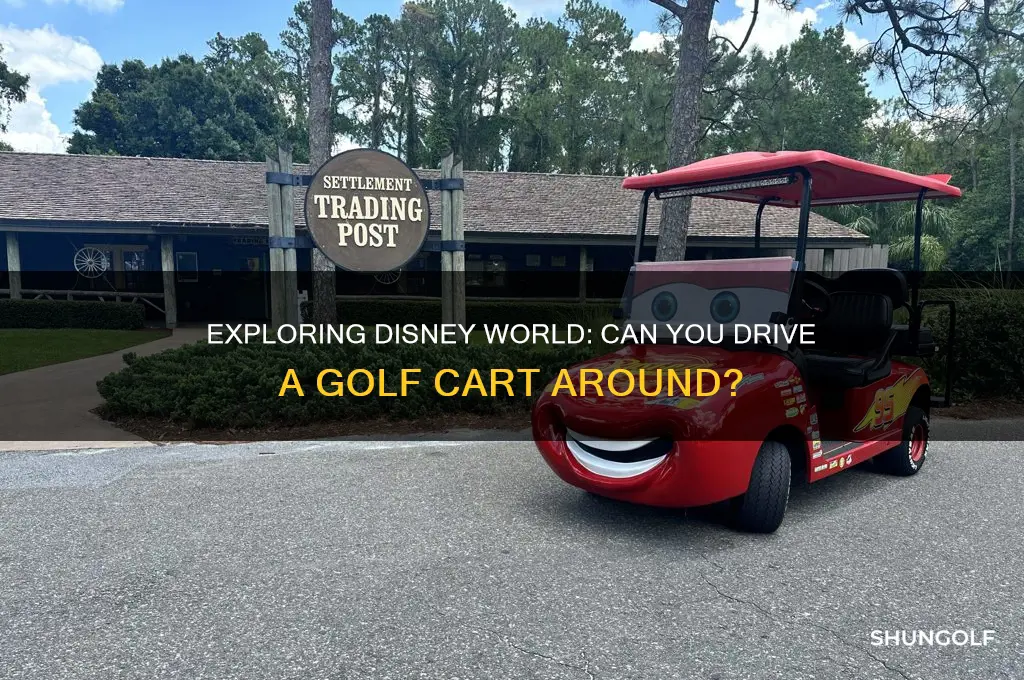 can you drive a golf cart around disney world
