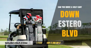 Driving Golf Carts on Estero Blvd: Legal or Off-Limits?