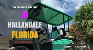 Driving Golf Carts in Hallandale, Florida: Rules and Regulations Explained