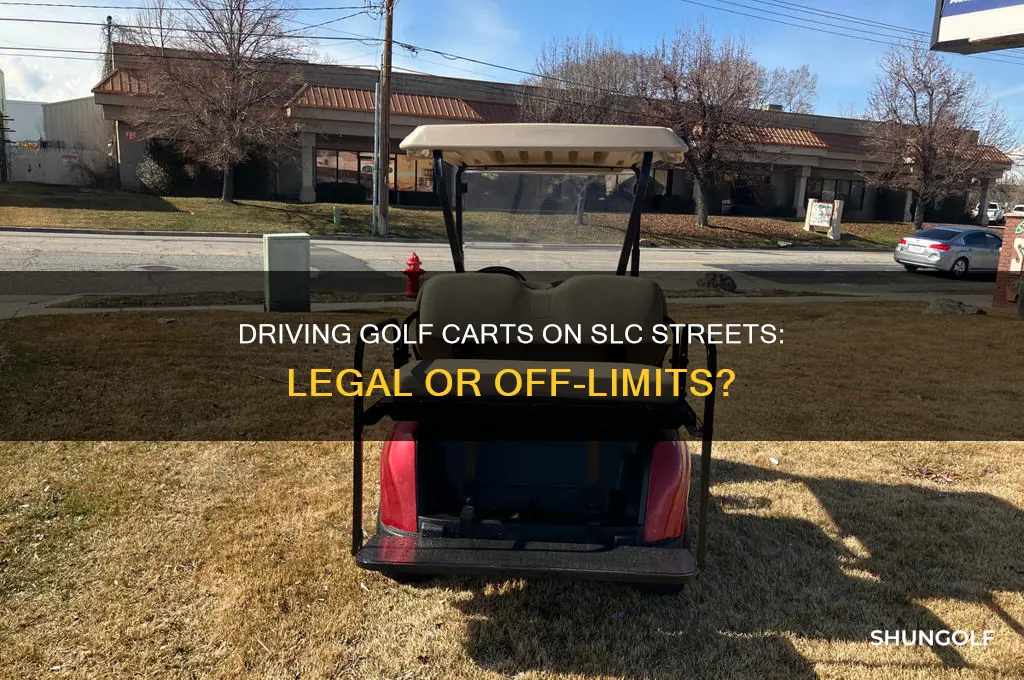 can you drive a golf cart inthe streets in slc
