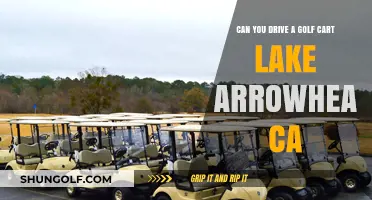 Driving Golf Carts in Lake Arrowhead, CA: Rules and Regulations