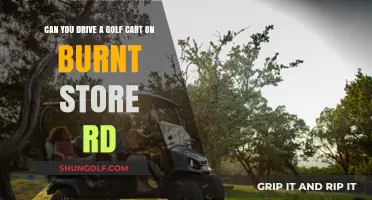 Driving Golf Carts on Burnt Store Rd: Legal or Off-Limits?