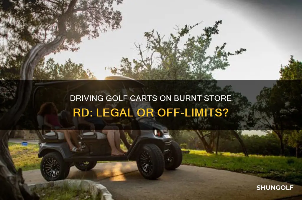 can you drive a golf cart on burnt store rd