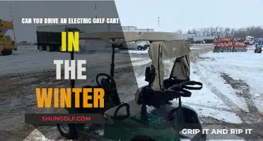 Winter Golf Cart Driving: Electric Models and Cold Weather Tips