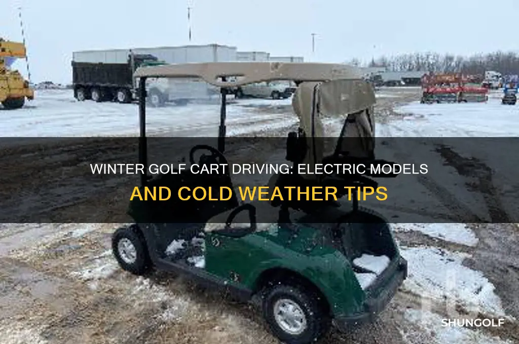 can you drive an electric golf cart in the winter