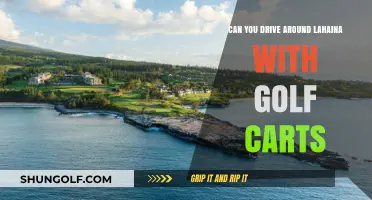 Exploring Lahaina: Golf Cart Driving Rules and Regulations Uncovered