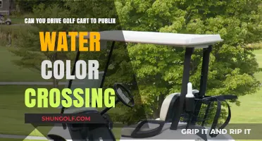 Driving Golf Carts to Publix WaterColor Crossing: Legal or Not?
