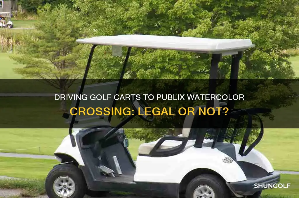 can you drive golf cart to publix water color crossing