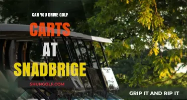 Driving Golf Carts at Sandbridge: Rules, Regulations, and What You Need to Know