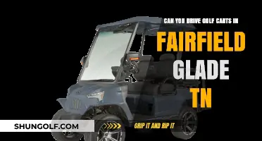 Exploring Fairfield Glade TN: Are Golf Carts Street Legal?