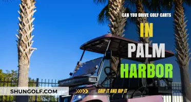 Driving Golf Carts in Palm Harbor: Rules, Regulations, and Local Guidelines