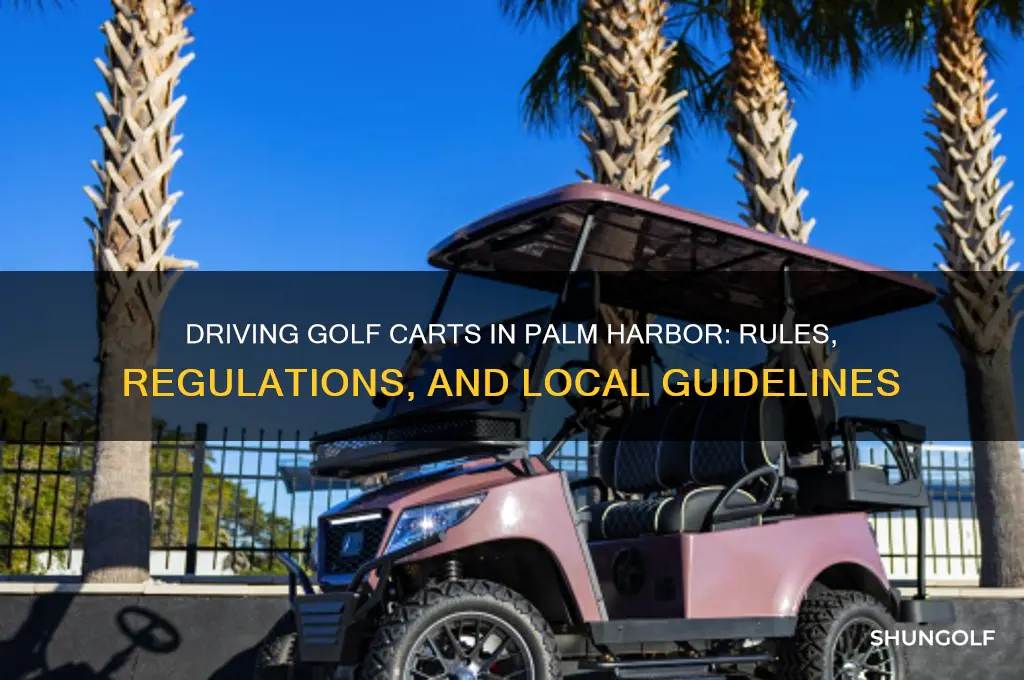 can you drive golf carts in palm harbor