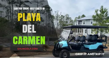 Exploring Playa del Carmen: Golf Cart Driving Rules and Regulations