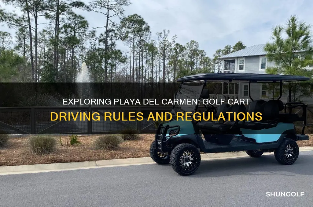 can you drive golf carts in playa del carmen