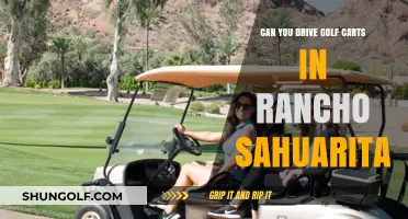 Driving Golf Carts in Rancho Sahuarita: Rules, Regulations, and Fun
