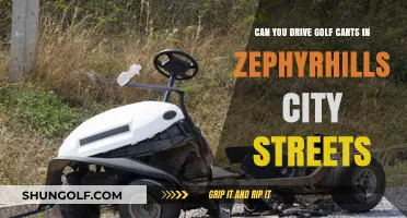 Driving Golf Carts on Zephyrhills City Streets: Legal or Not?