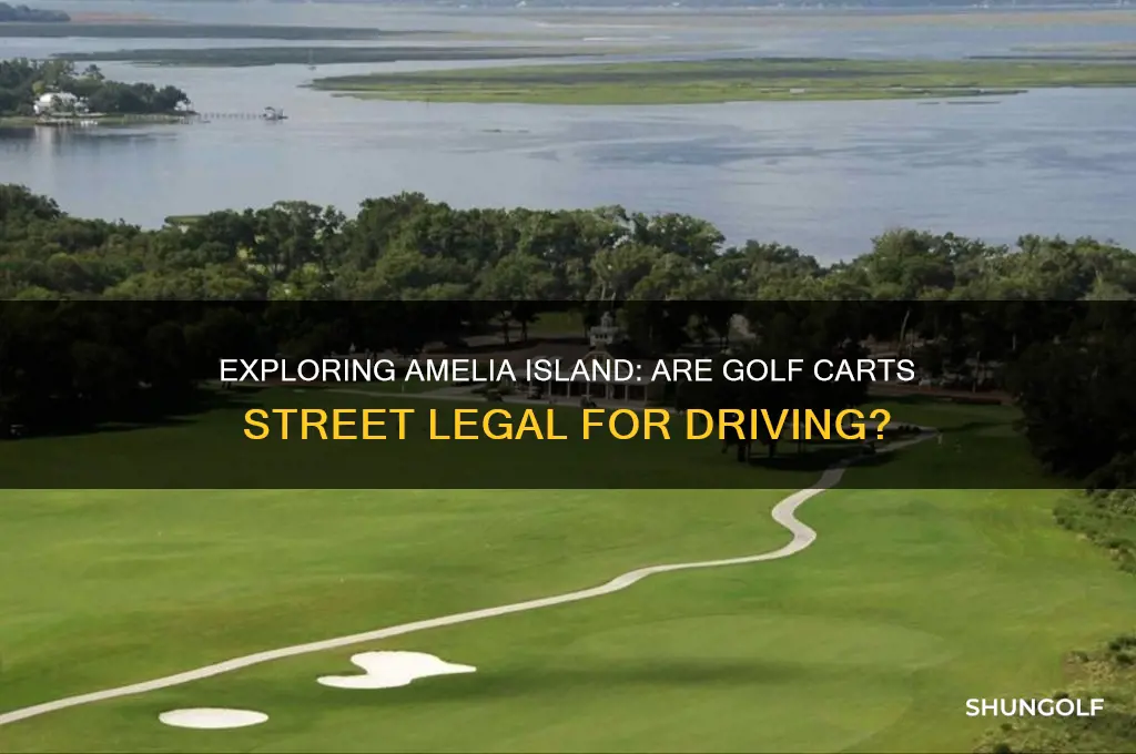 can you drive golf carts on amelia island
