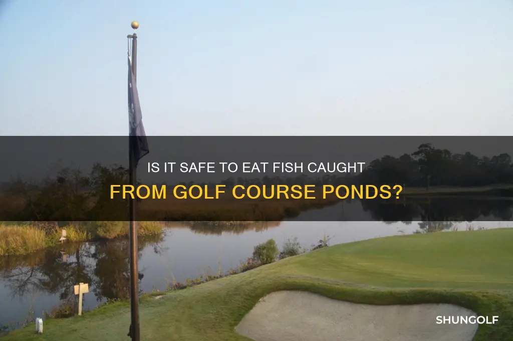 can you eat fish from a golf course