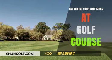 Golf Course Snacking: Are Sunflower Seeds Fairway-Friendly?
