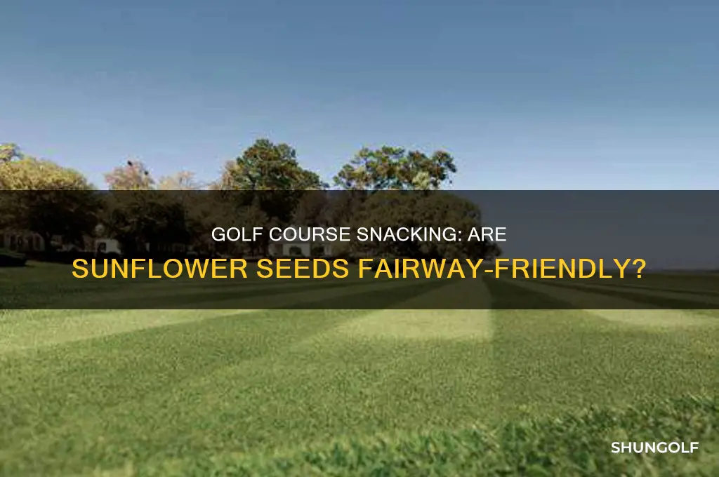 can you eat sunflower seeds at golf course