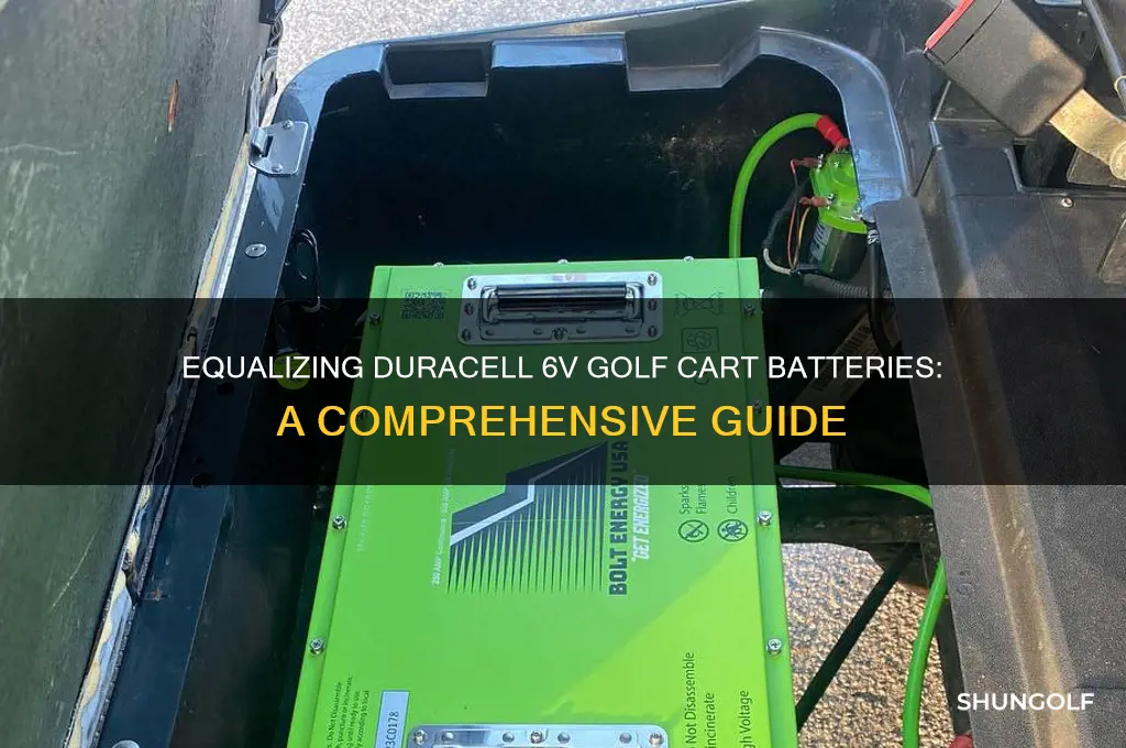 can you equalize duracell 6v golf cart batteries