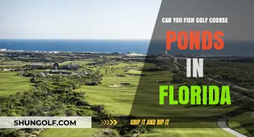 Fishing Golf Course Ponds in Florida: Rules, Tips, and Best Spots