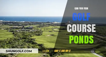 Fishing Golf Course Ponds: Rules, Tips, and Catching Opportunities