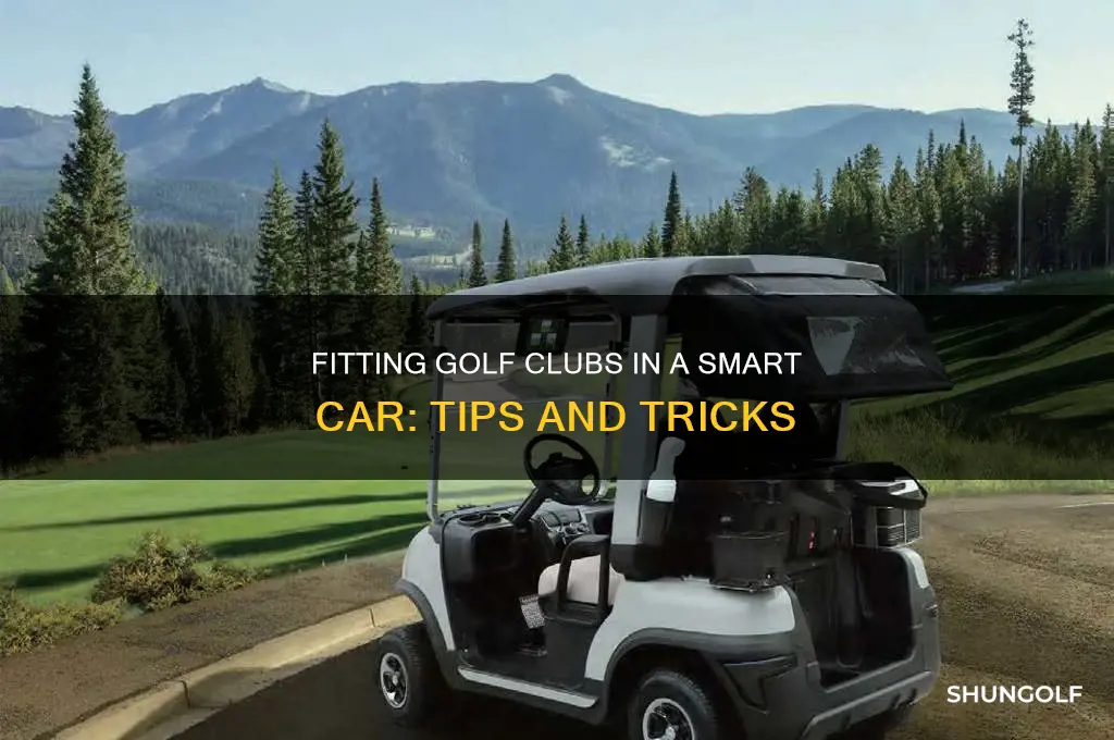 can you fit golf clubs in a smart car