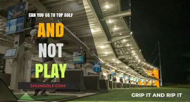 Exploring Topgolf: Fun Activities Beyond the Game for Non-Players