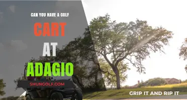 Golf Carts at Adagio: Rules, Benefits, and Community Guidelines Explained