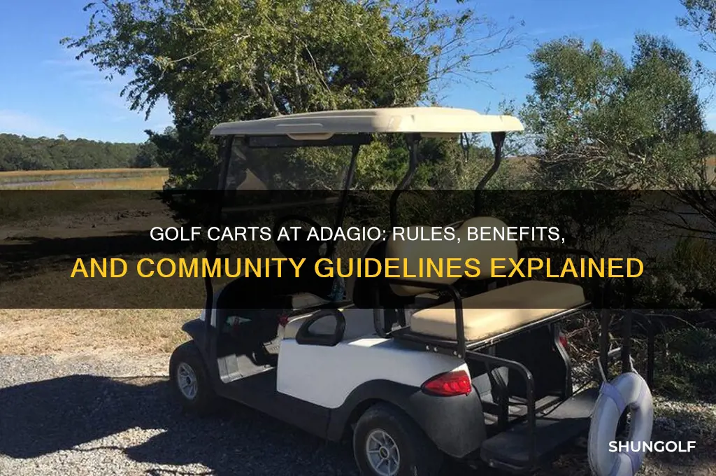 can you have a golf cart at adagio